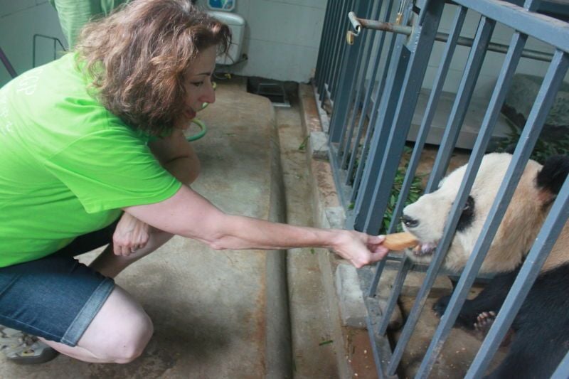 2017 Customer Story - The Experience as a Panda Carer 2017 Customer Story - The Experience as a Panda Carer